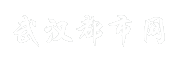 武汉都市网